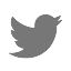 Seguici su Twitter! twitter